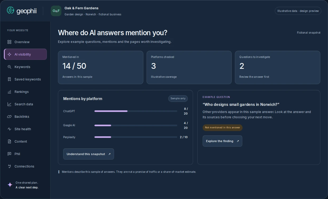 Geophii Competitor research design preview with illustrative information for a fictional business.